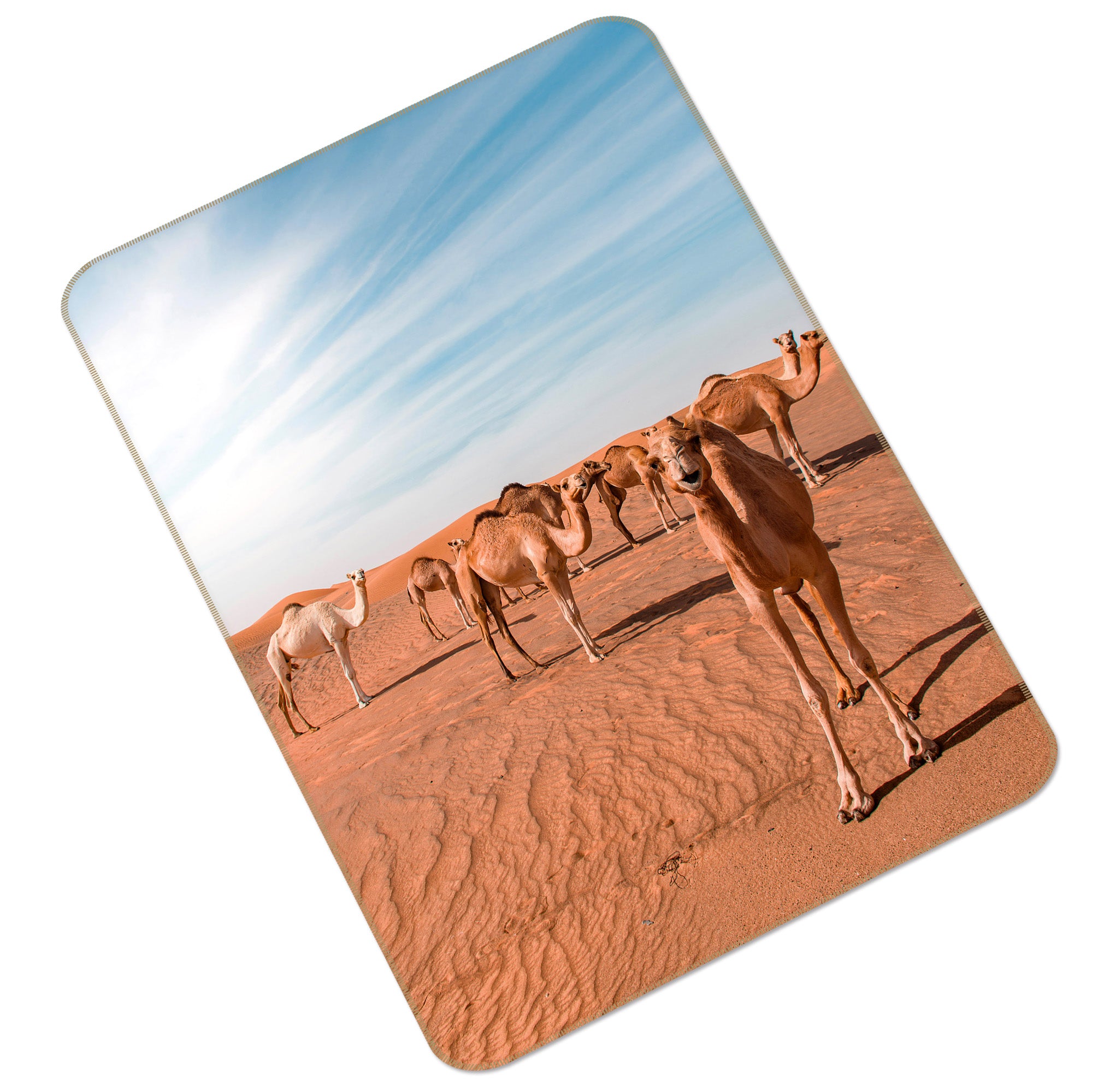 3D Camel Desert 149 Animal Non Slip Rug Mat