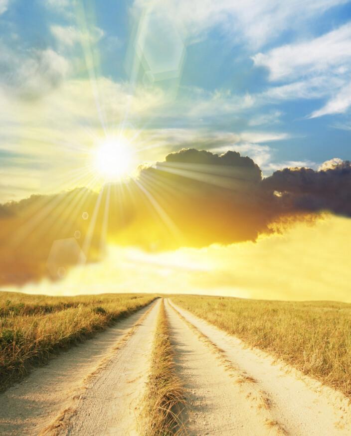 Bright Sunshine Wallpaper AJ Wallpaper