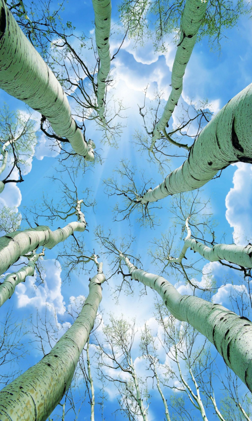 Treetop Blue Sky Wallpaper AJ Wallpaper 2