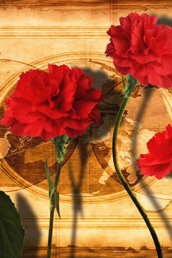 Red Carnations And Map Wallpaper AJ Wallpaper