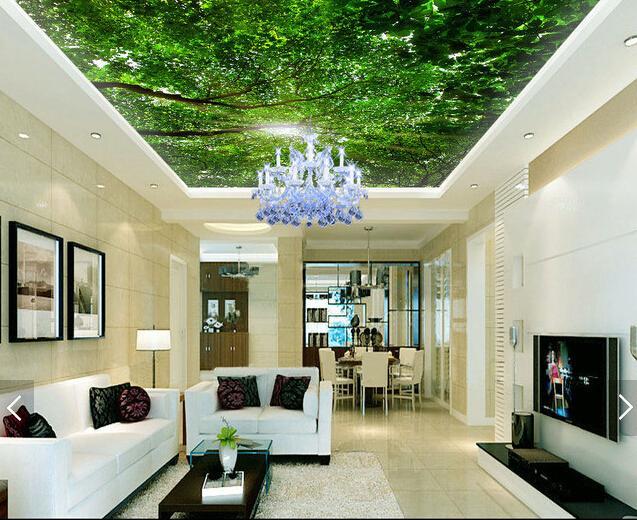 Maolin Sunshine 200 Wallpaper AJ Wallpaper