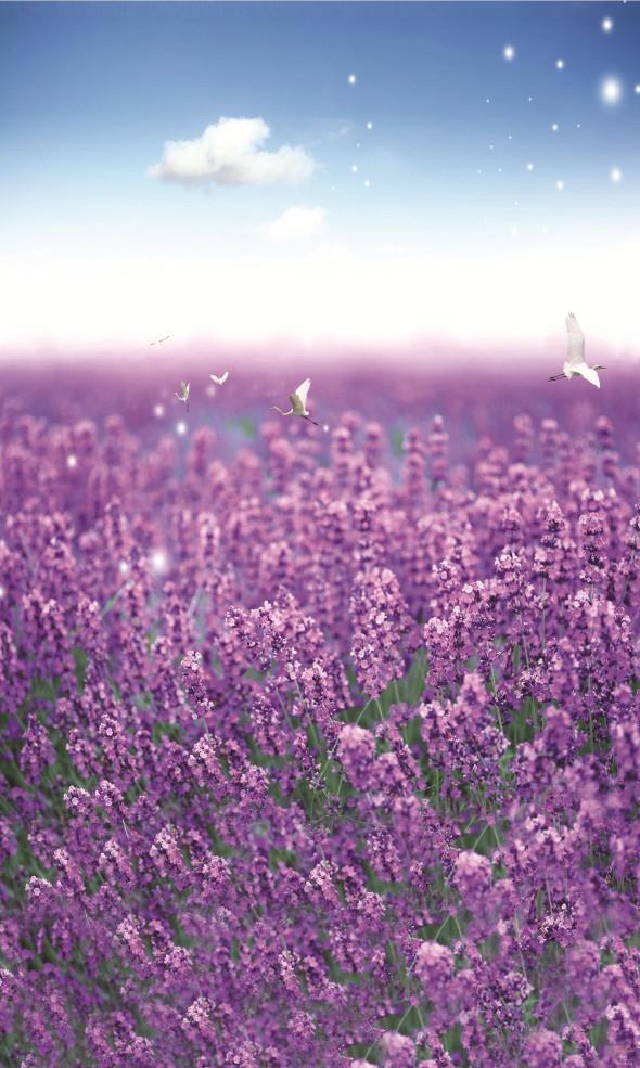 3D lavender field under the sun door mural Wallpaper AJ Wallpaper