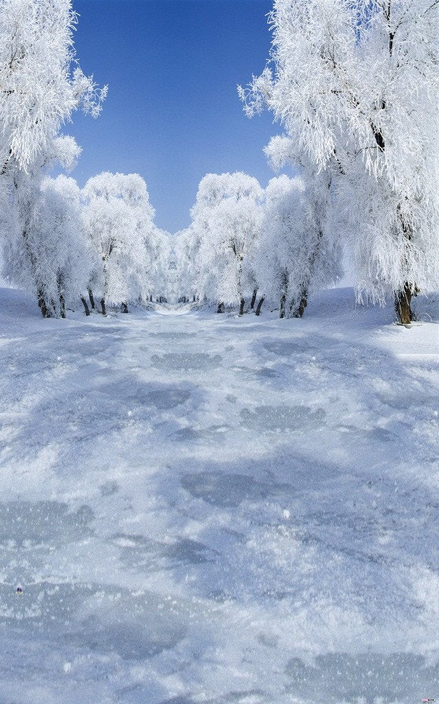 3D Forest Snow Scene Door Mural Wallpaper AJ Wallpaper