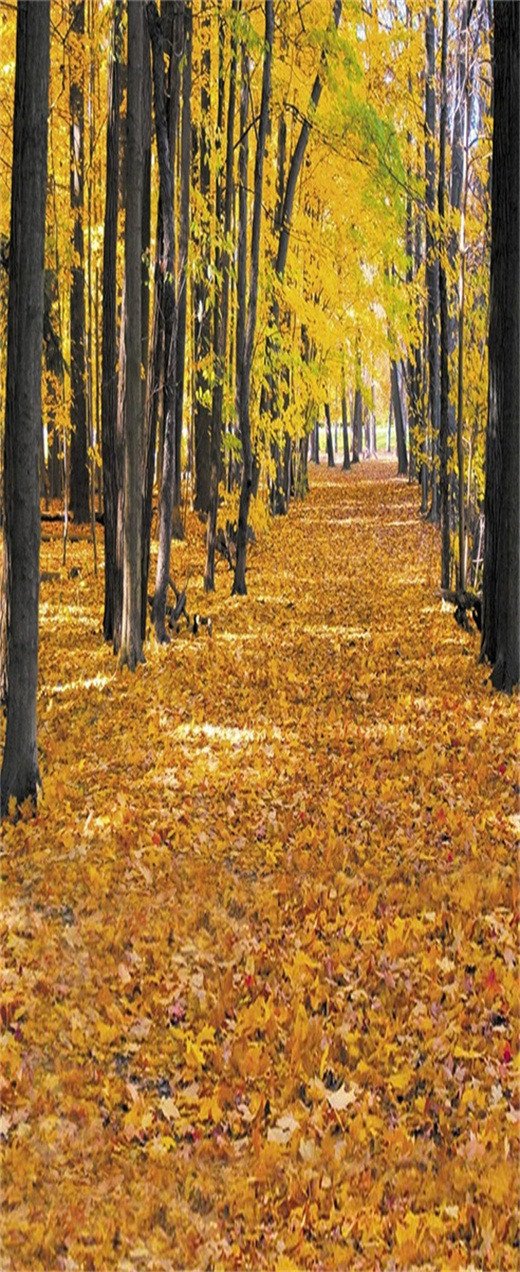 3D fallen leaves autumn treesdoor mural Wallpaper AJ Wallpaper