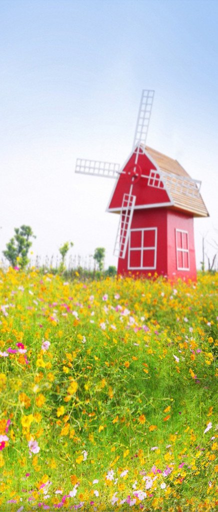3D windmill flowers from painting door mural Wallpaper AJ Wallpaper