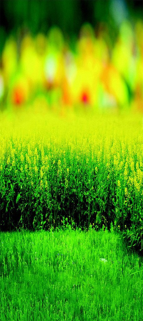 3D field green painting door mural Wallpaper AJ Wallpaper