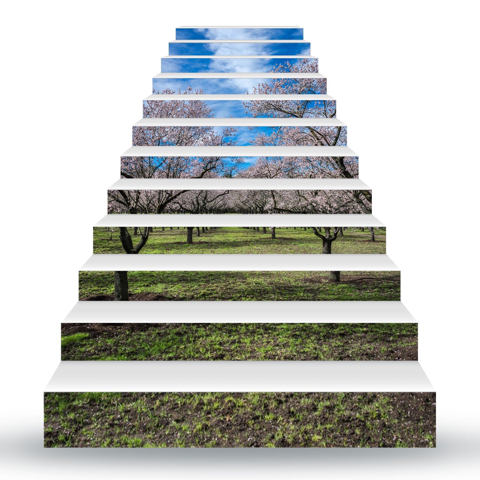 3D Tranquil Peach Blossom Forest 079 Stair Risers