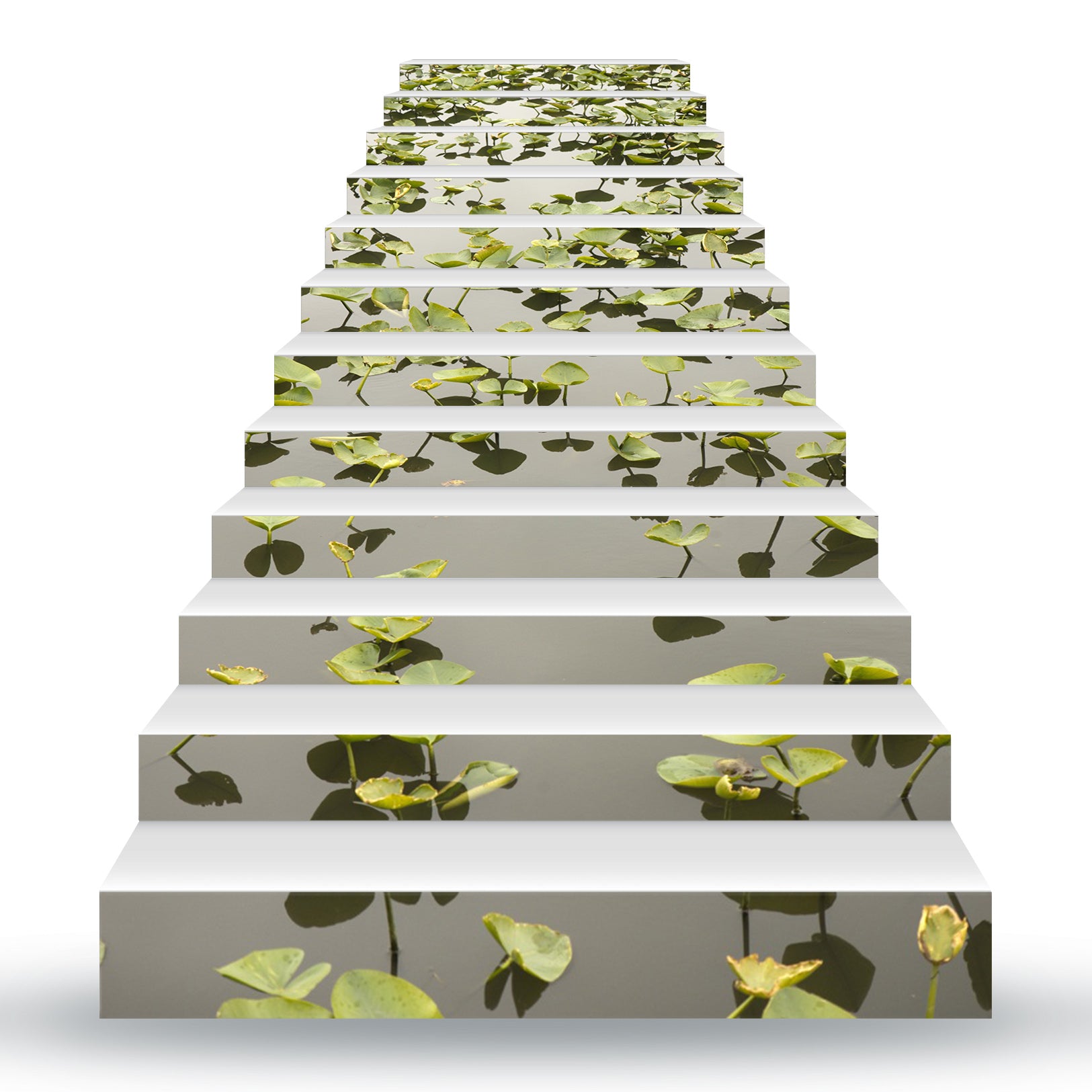 3D Clean Lotus Leaves 081 Stair Risers