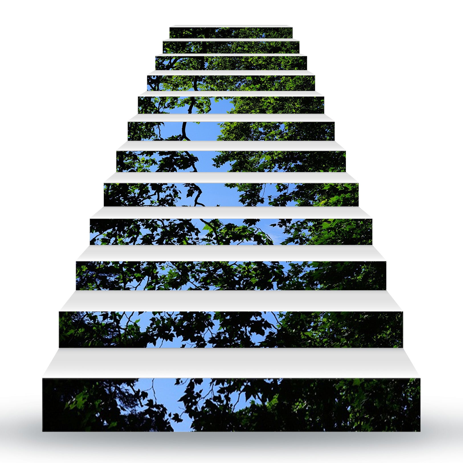 3D The Sky In The Tree Gap 089 Stair Risers