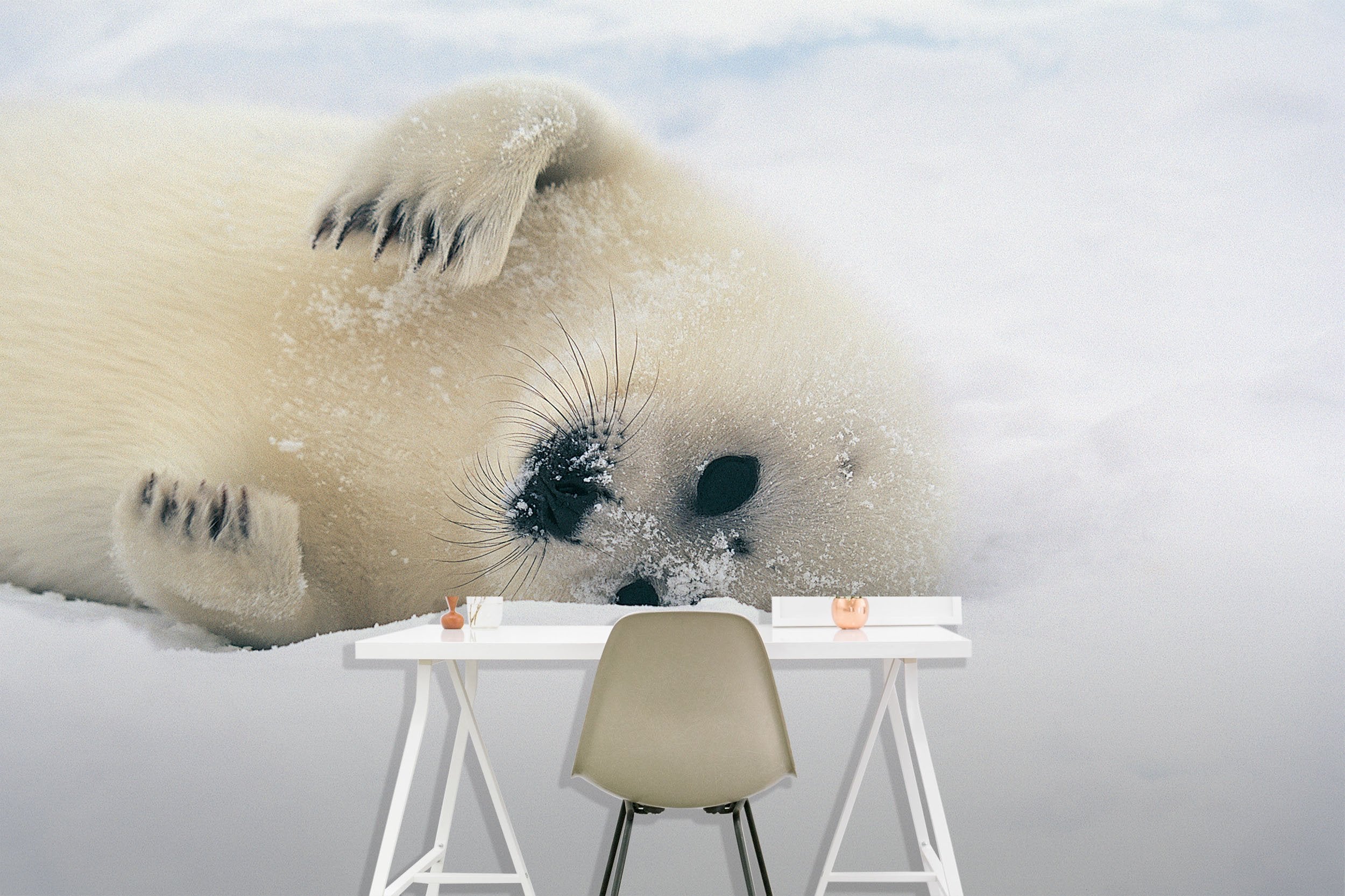 3D White Bear Sleeping 058 Wallpaper AJ Wallpaper