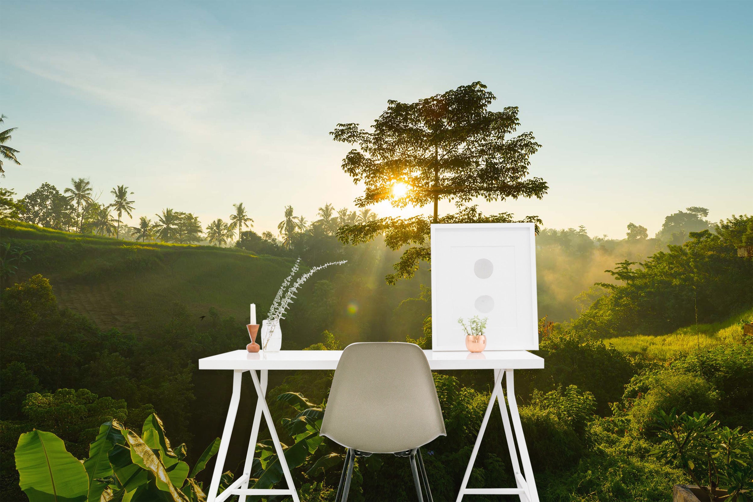 3D Sun Forest Nature 92 Wall Murals