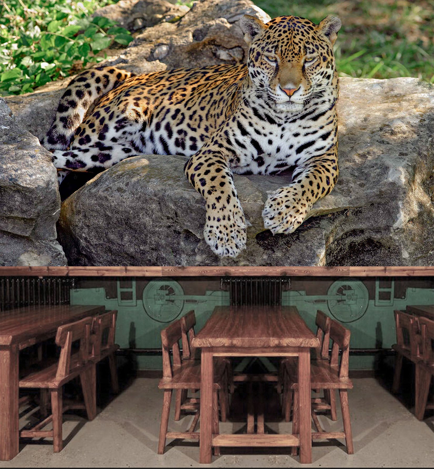 3D Stone Tiger 1067 Wall Murals