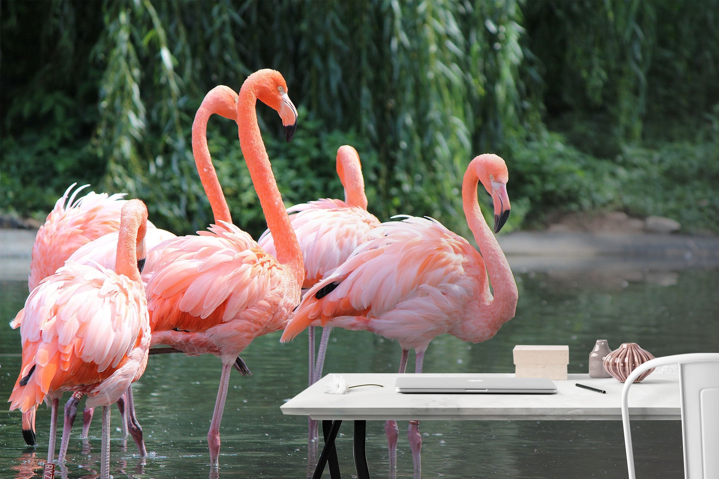 3D Water Flamingo 143 Wallpaper AJ Wallpaper