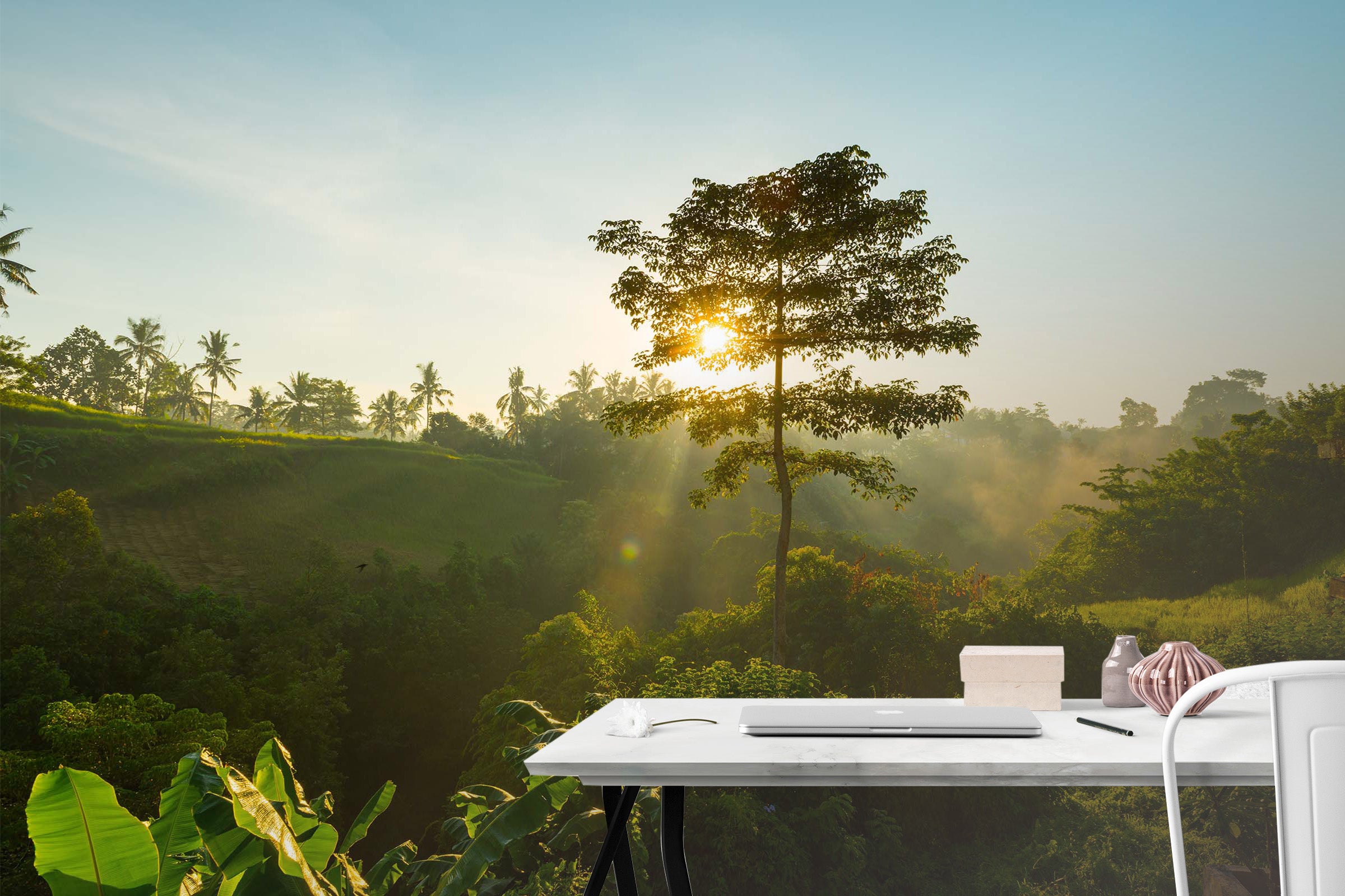 3D Sun Forest Nature 92 Wall Murals