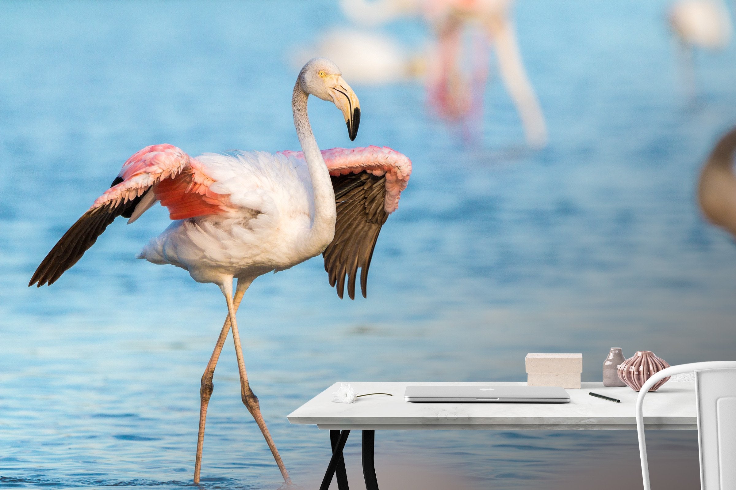 3D Seagullr 141 Wallpaper AJ Wallpaper