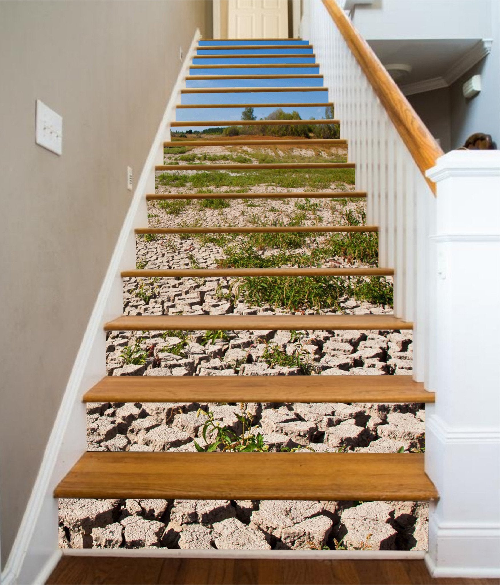 3D Land Cracks 910 Stair Risers Wallpaper AJ Wallpaper