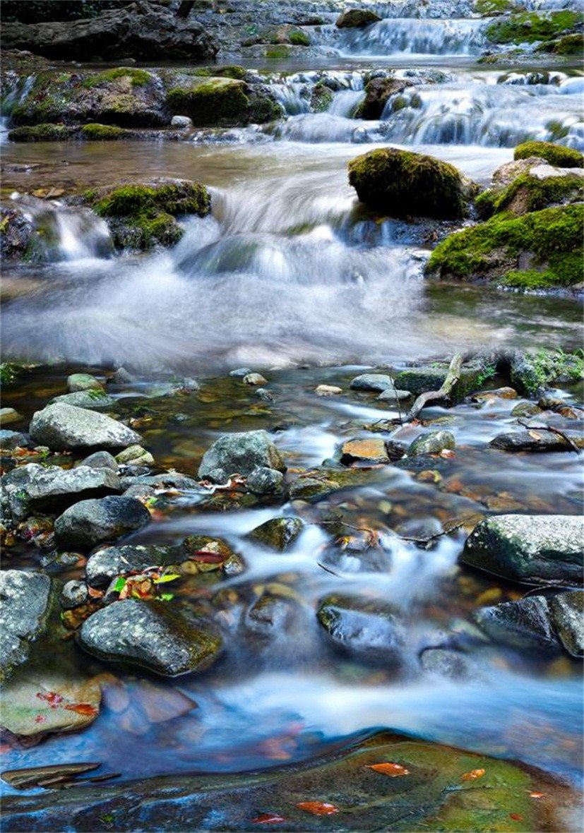 3D Beautiful River Scenery 553 Stair Risers Wallpaper AJ Wallpaper