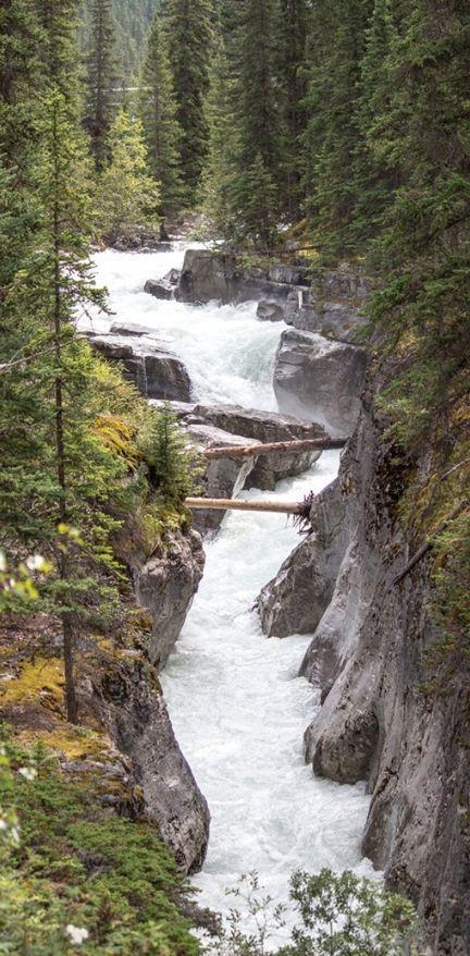 3D Maligne River Stair Risers Wallpaper AJ Wallpaper