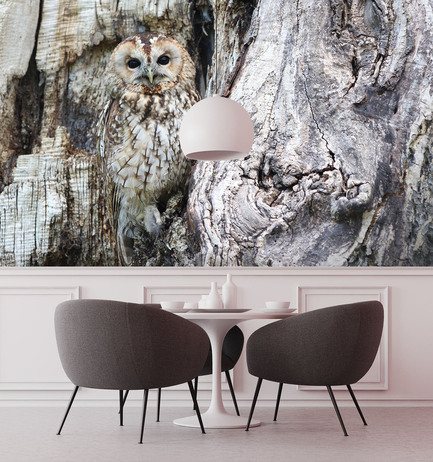 3D Black Owl 255 Wall Murals