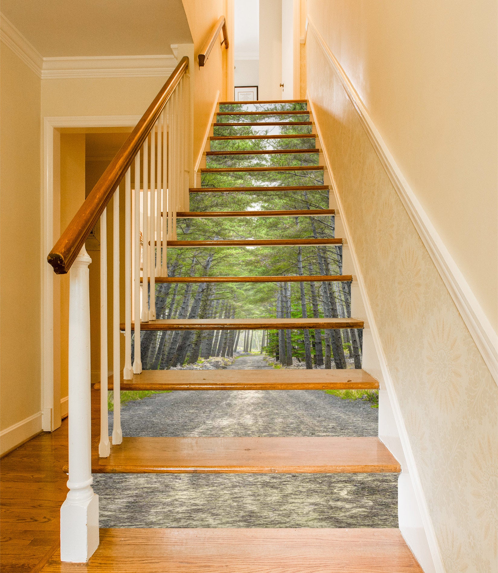 3D Road Forest 10951 Assaf Frank Stair Risers