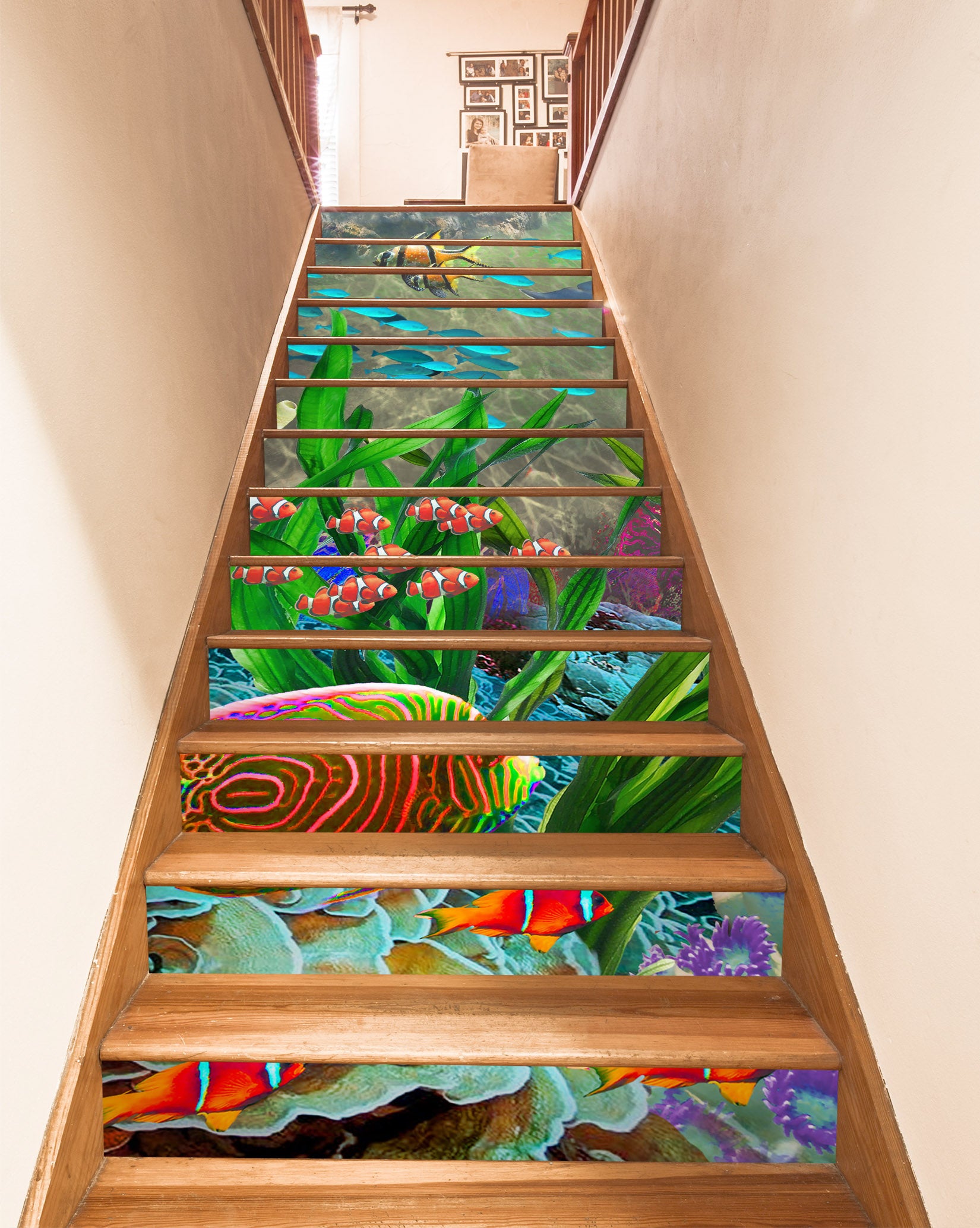 3D Ocean Fish Seaweed 96191 Adrian Chesterman Stair Risers