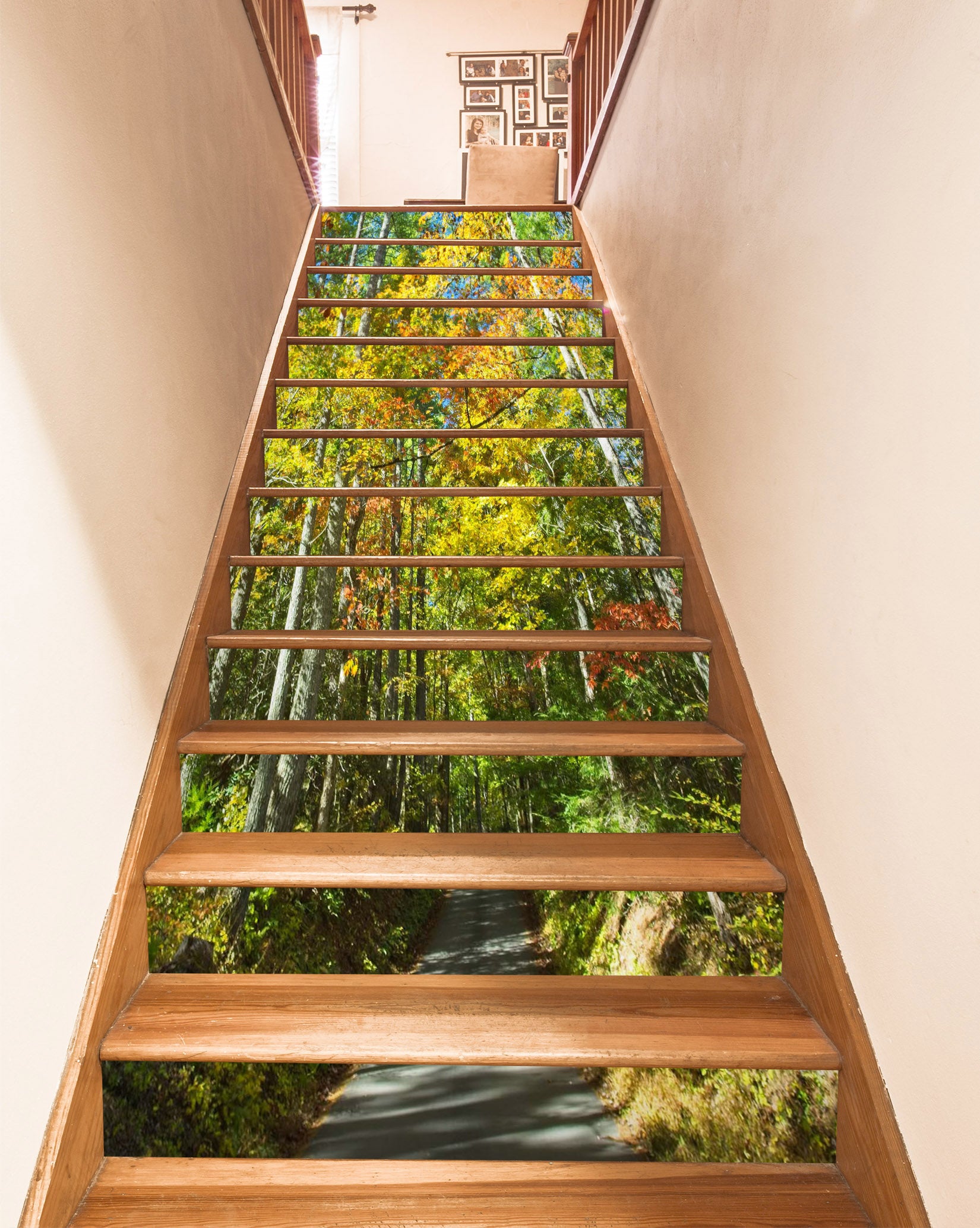 3D Jungle Path 98223 Kathy Barefield Stair Risers