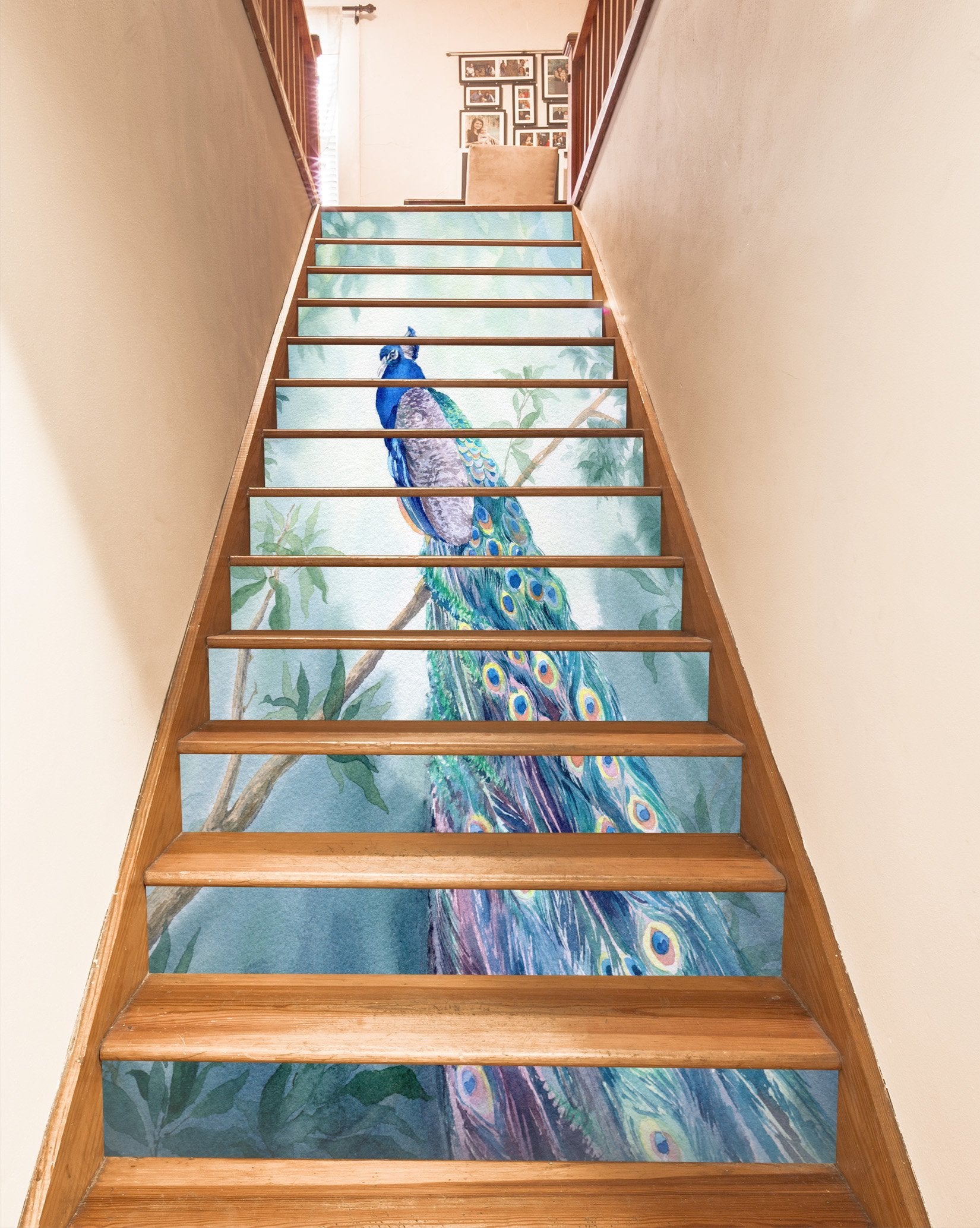 3D Peacock 6972 Stair Risers Wallpaper AJ Wallpaper