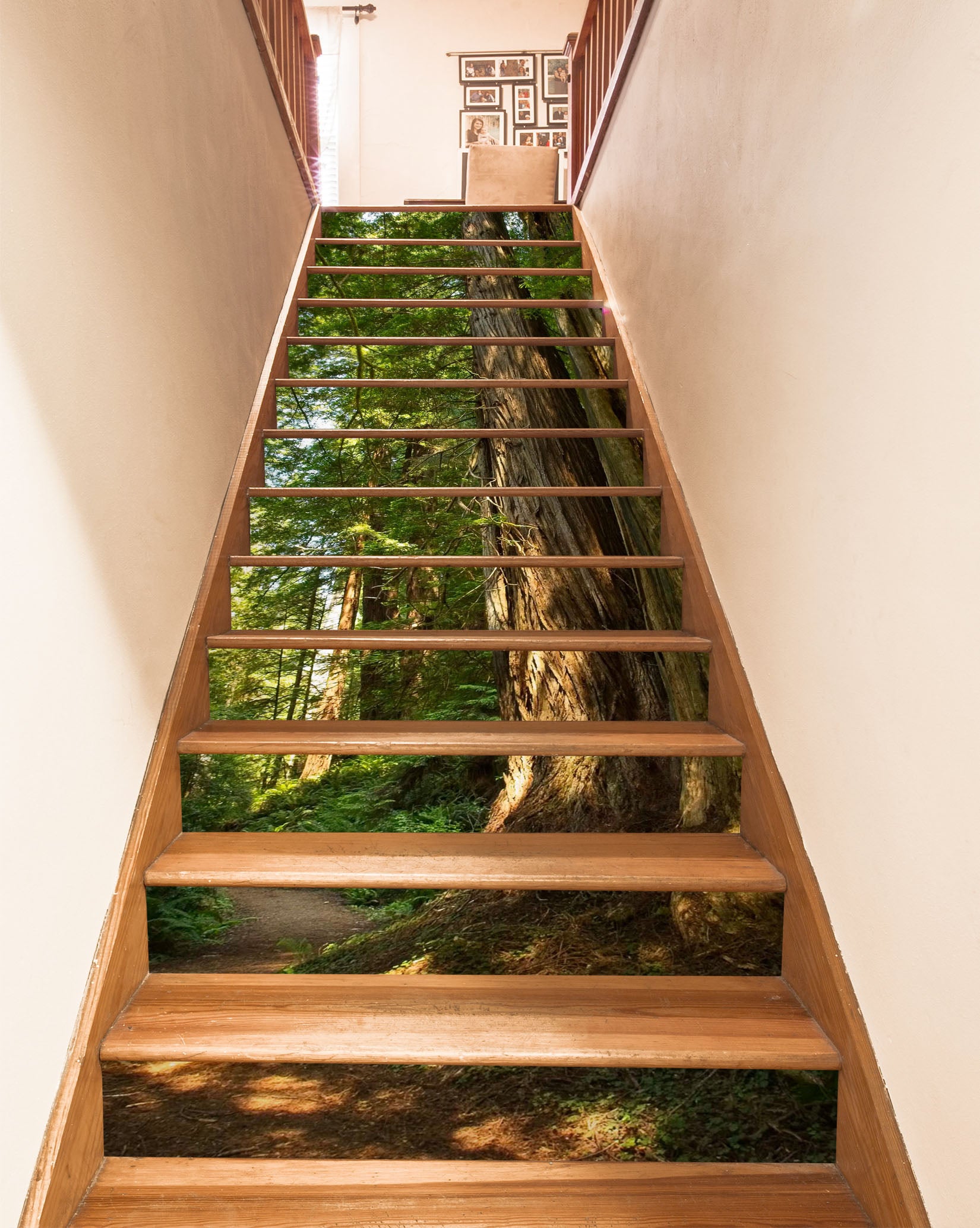 3D Forest 9902 Kathy Barefield Stair Risers
