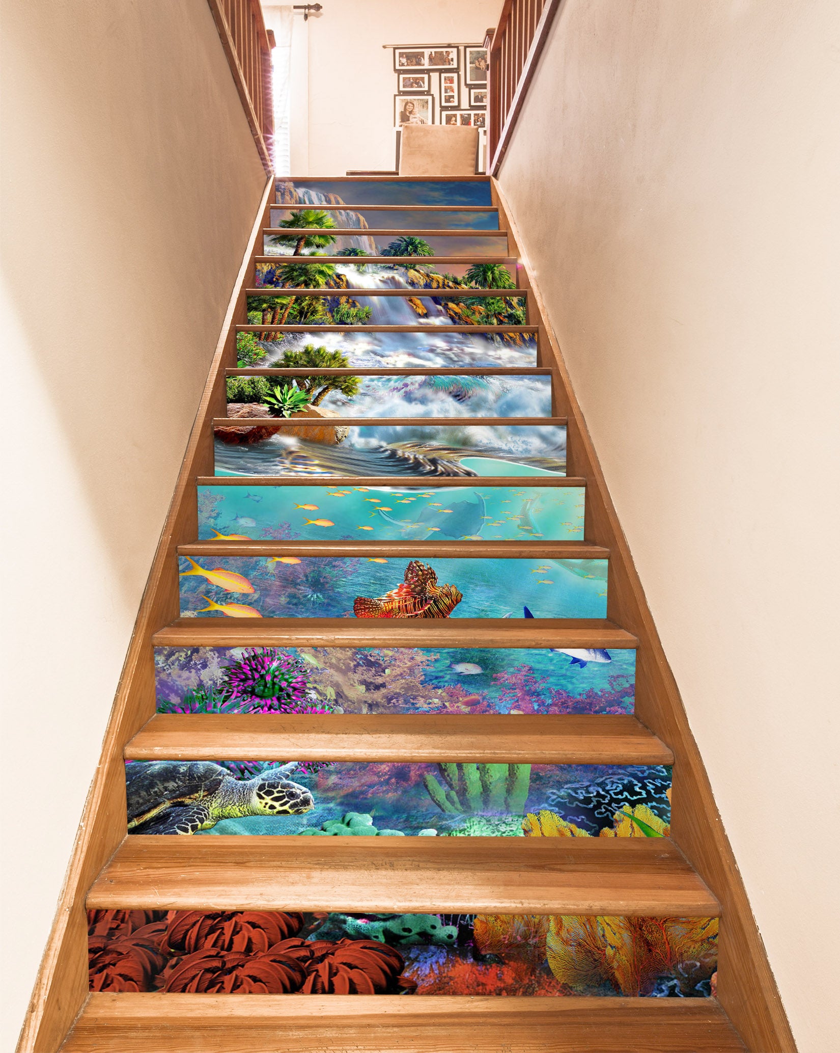 3D Underwater Coral 96167 Adrian Chesterman Stair Risers