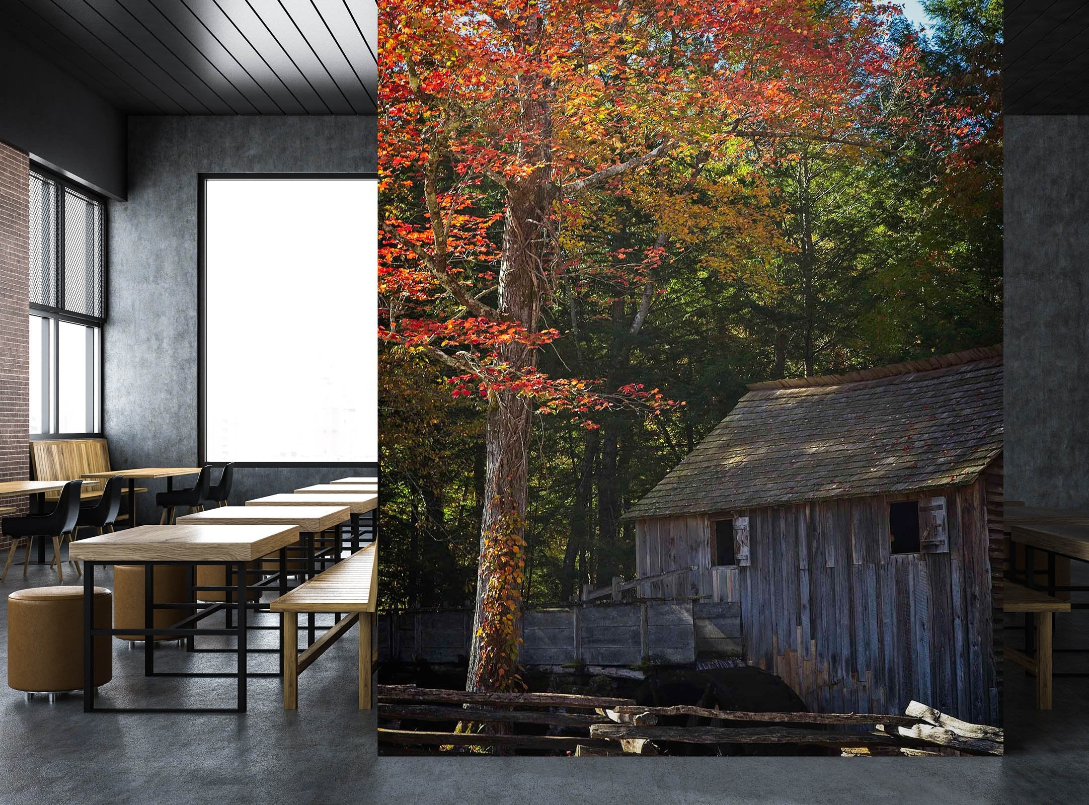 3D Autumn 1399 Kathy Barefield Wall Mural Wall Murals Wallpaper AJ Wallpaper