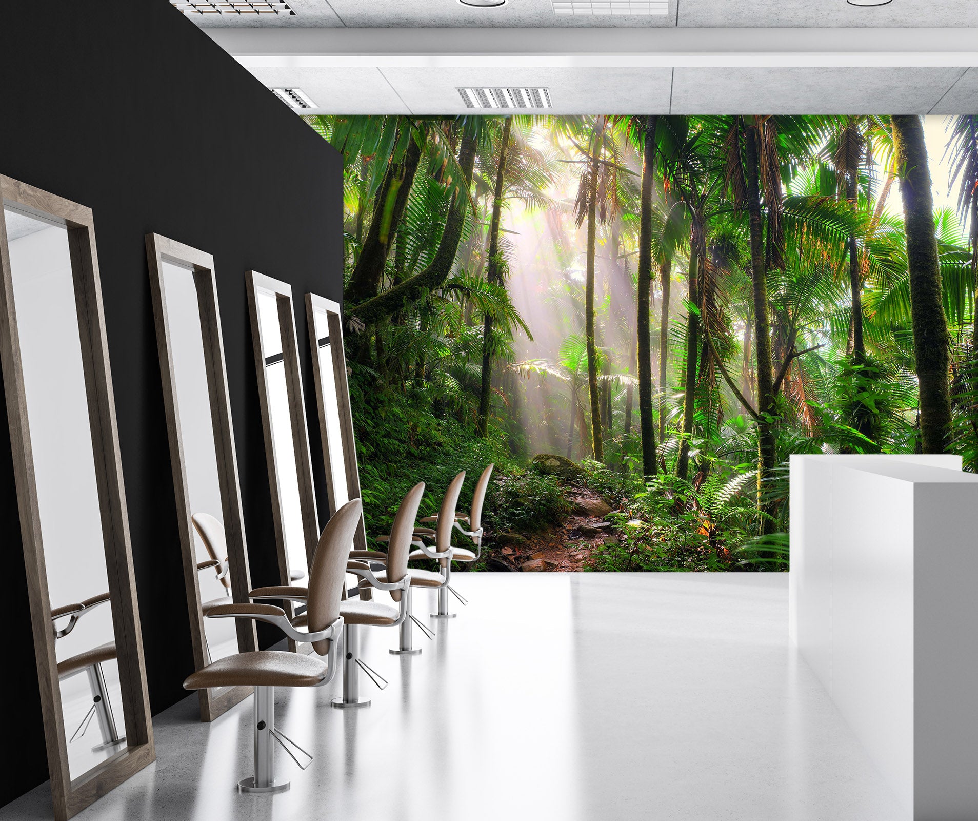 3D Foggy Forest 388 Wall Murals
