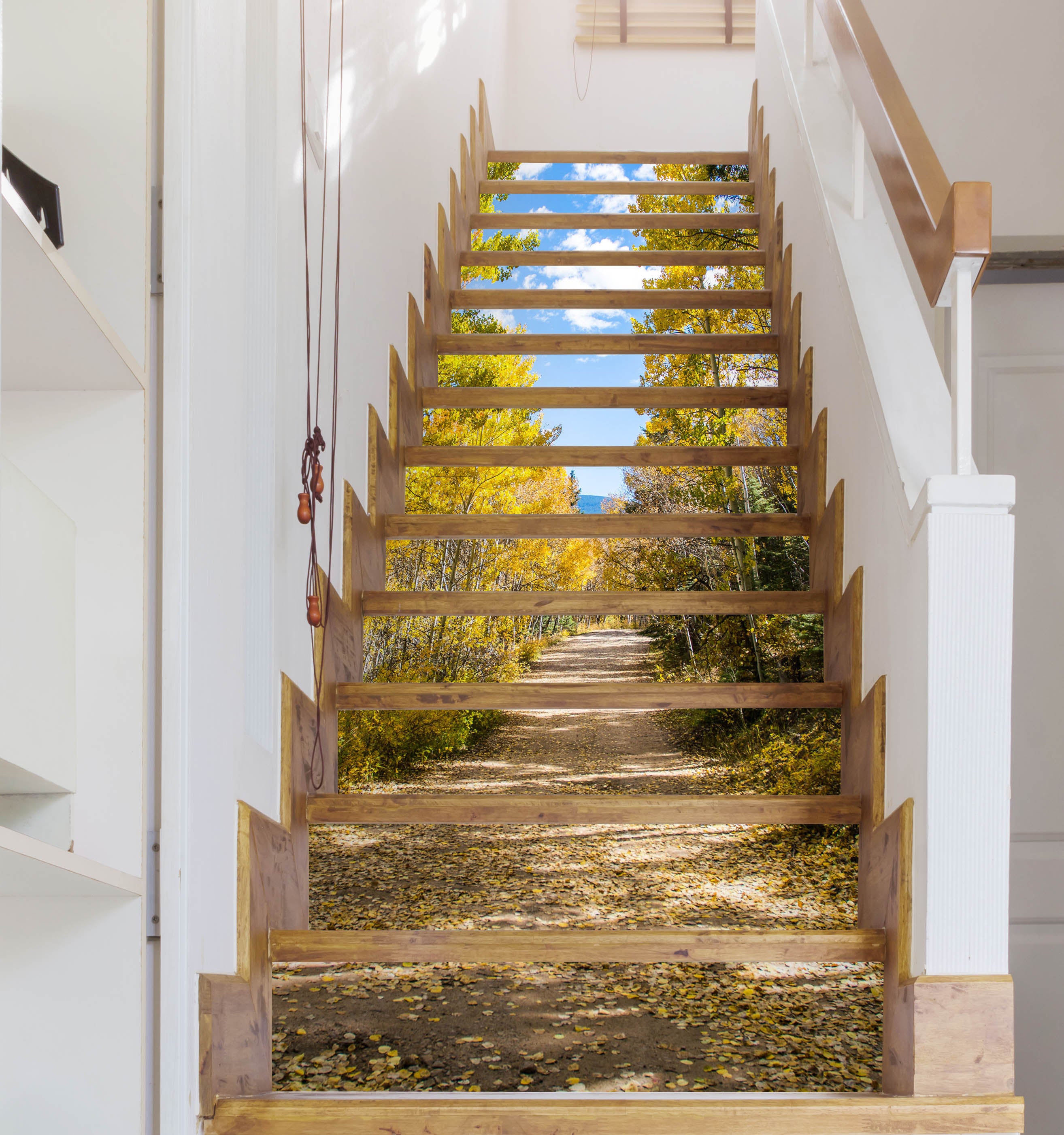 3D Road Between Woods 536 Stair Risers