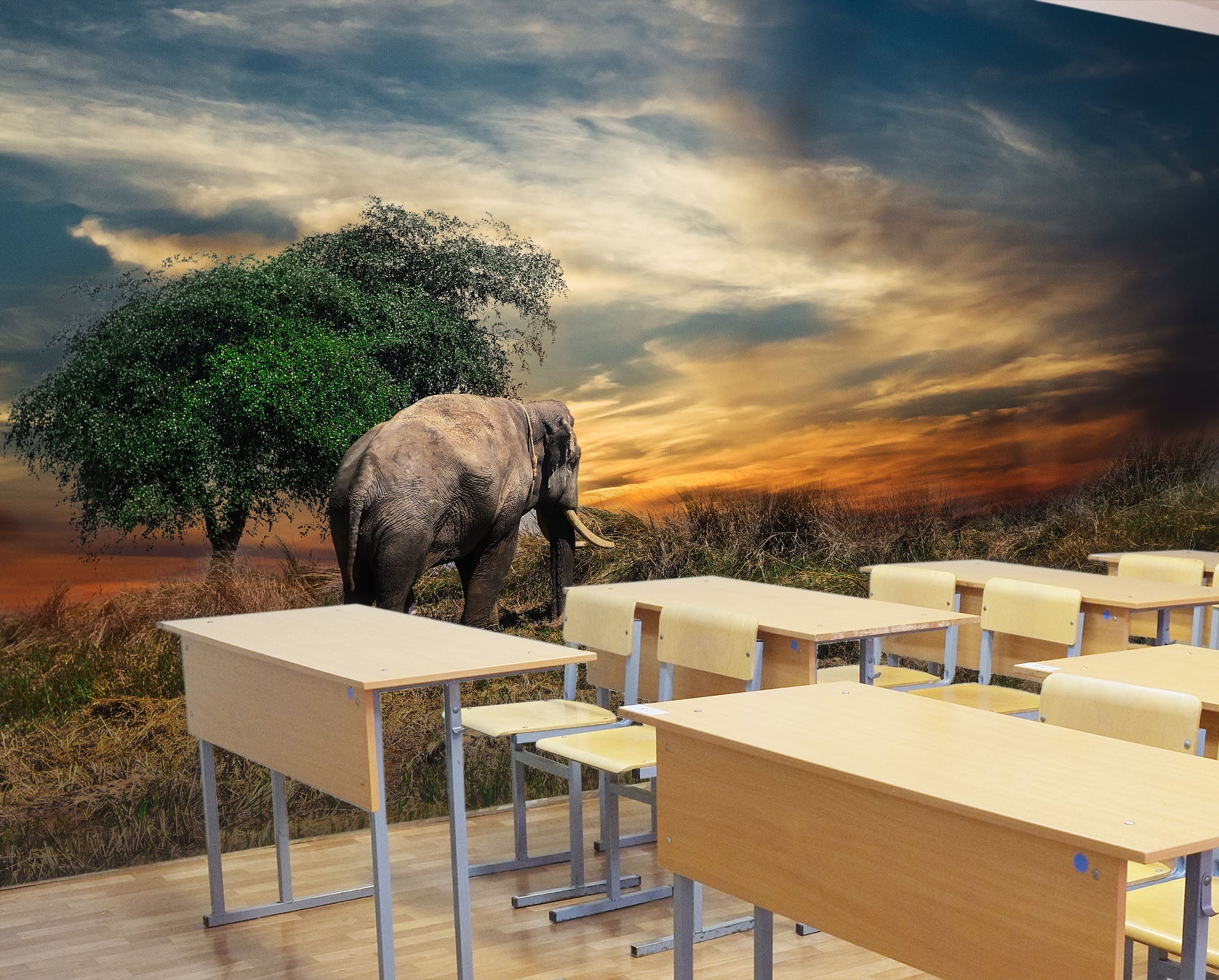 3D Tree Elephant 150 Wall Murals
