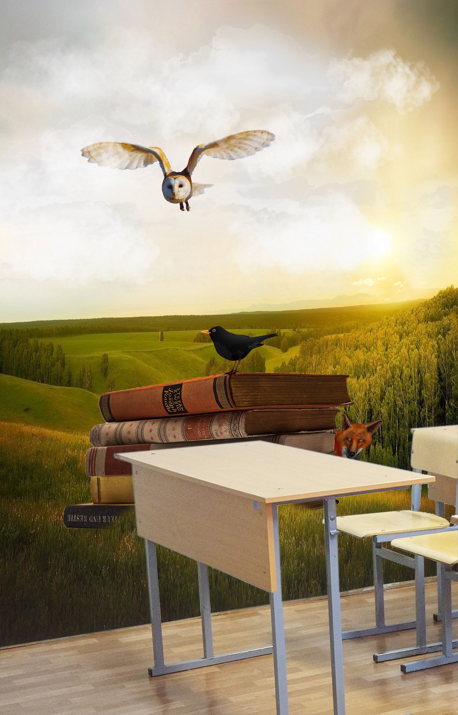 3D Owl Bird Book 161 Wall Murals