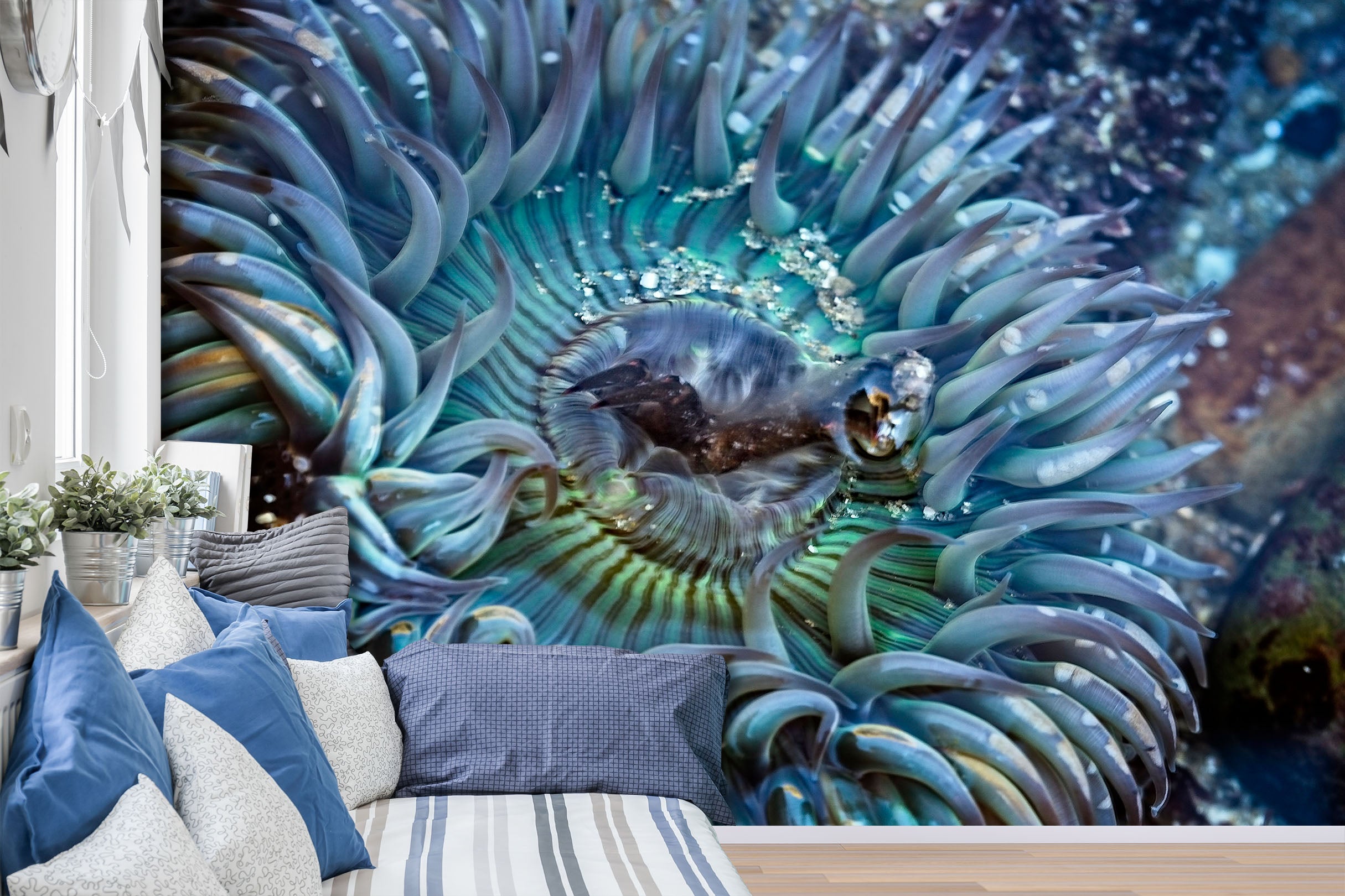 3D Tidepool Treasure 130 Kathy Barefield Wall Mural Wall Murals