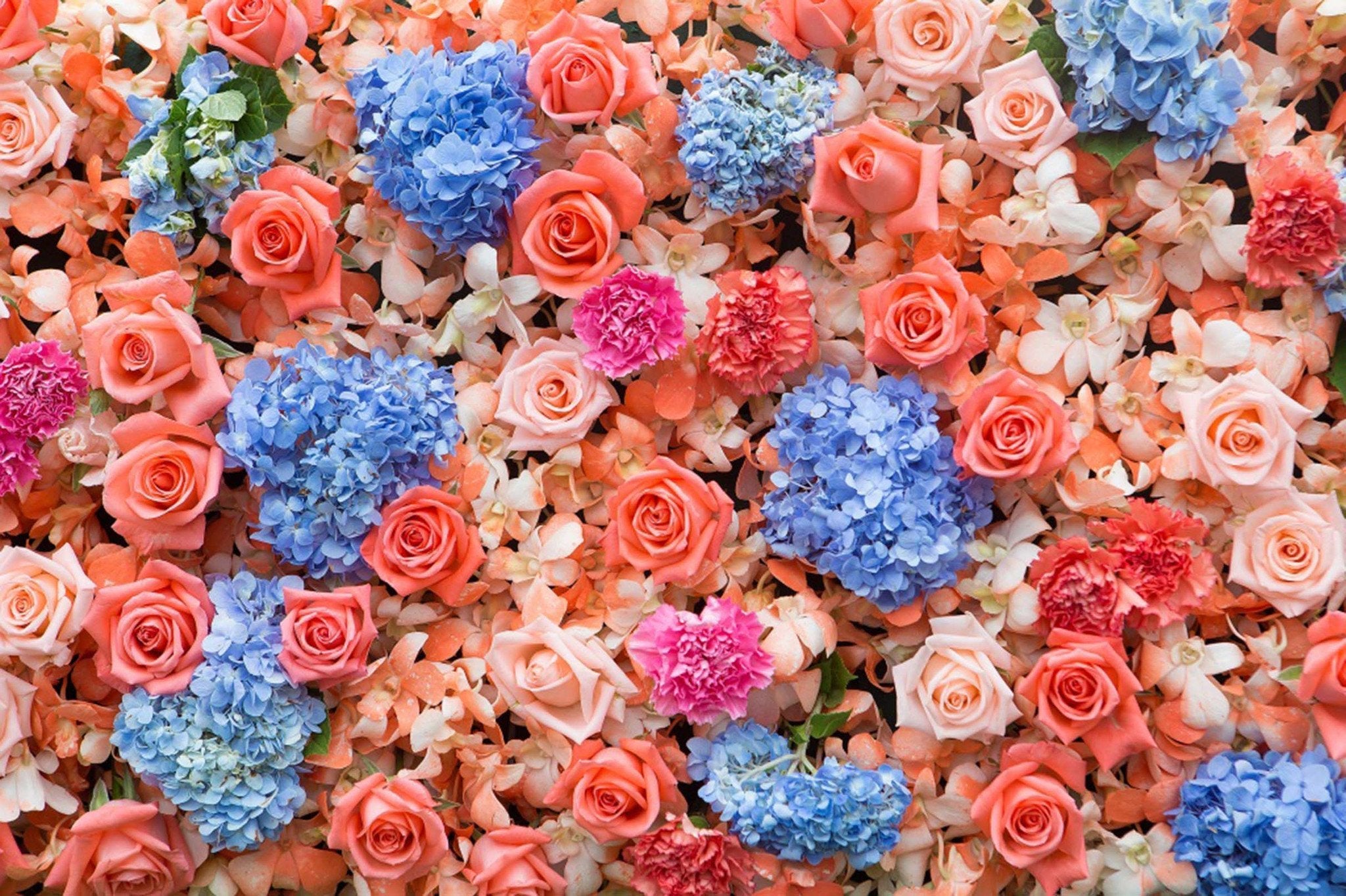 Various Dense Flowers Wallpaper AJ Wallpaper
