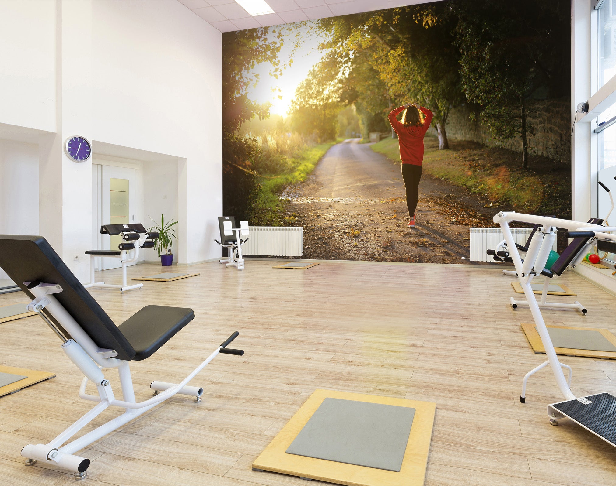 3D Morning Forest 236 Wall Murals