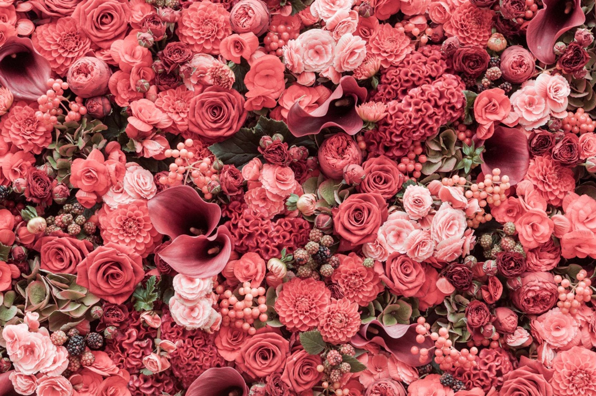 Romantic Dense Flowers Wallpaper AJ Wallpaper