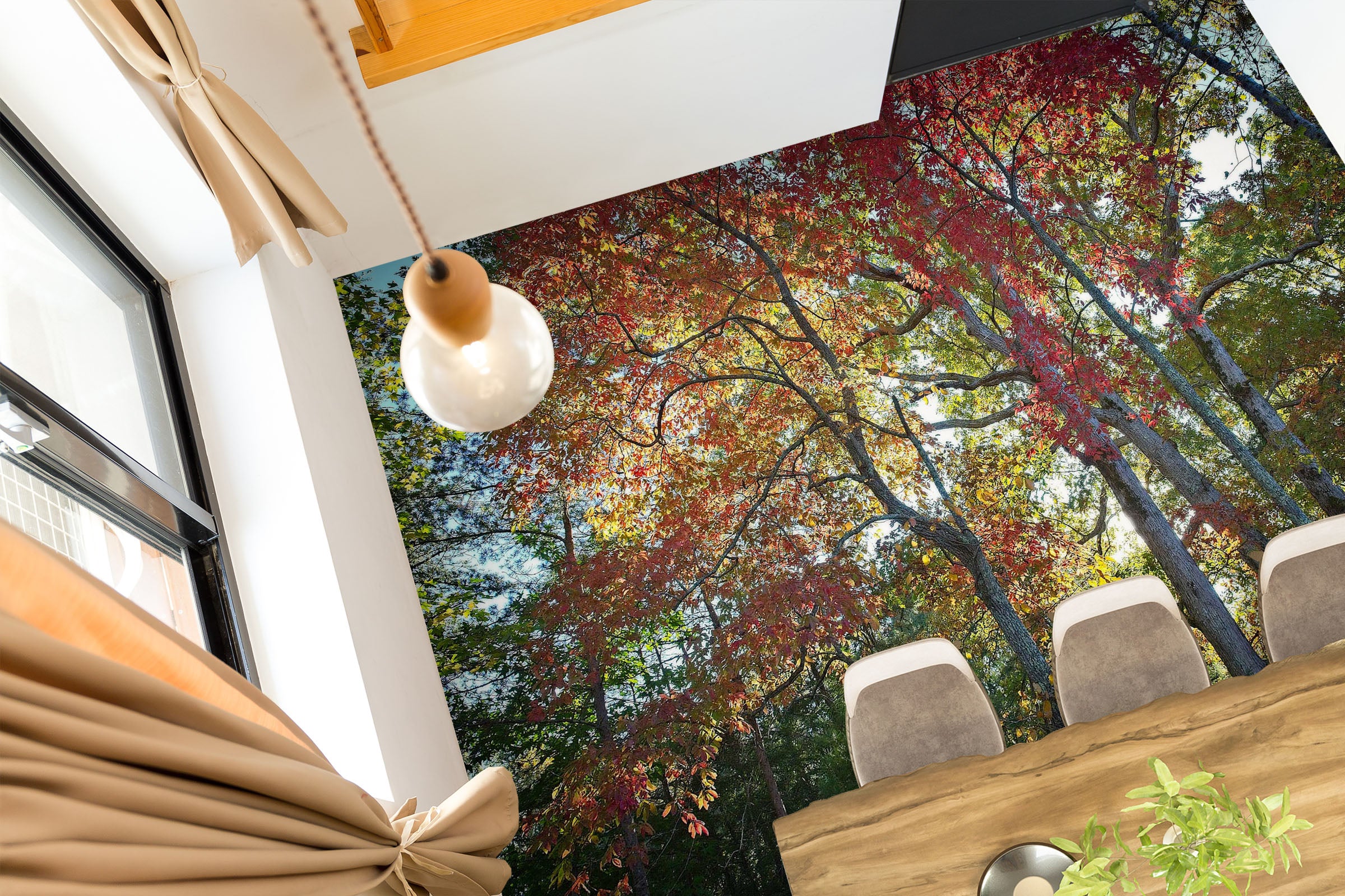 3D Forest 98189 Kathy Barefield Floor Mural Wallpaper Murals Self-Adhesive Removable Print Epoxy