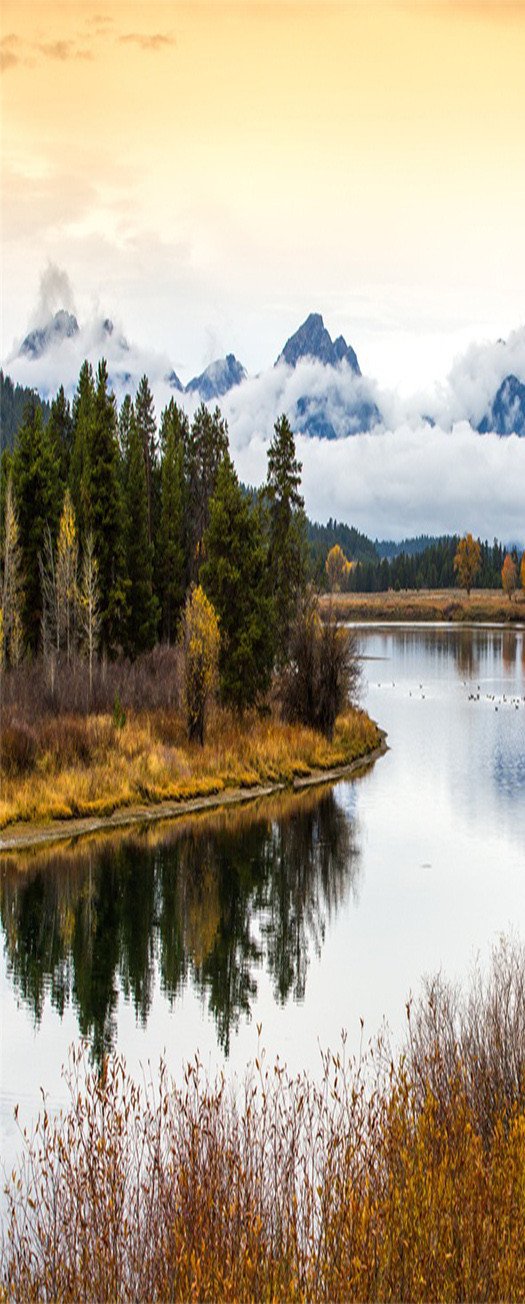 3D fresh waterinverted image trees door mural Wallpaper AJ Wallpaper