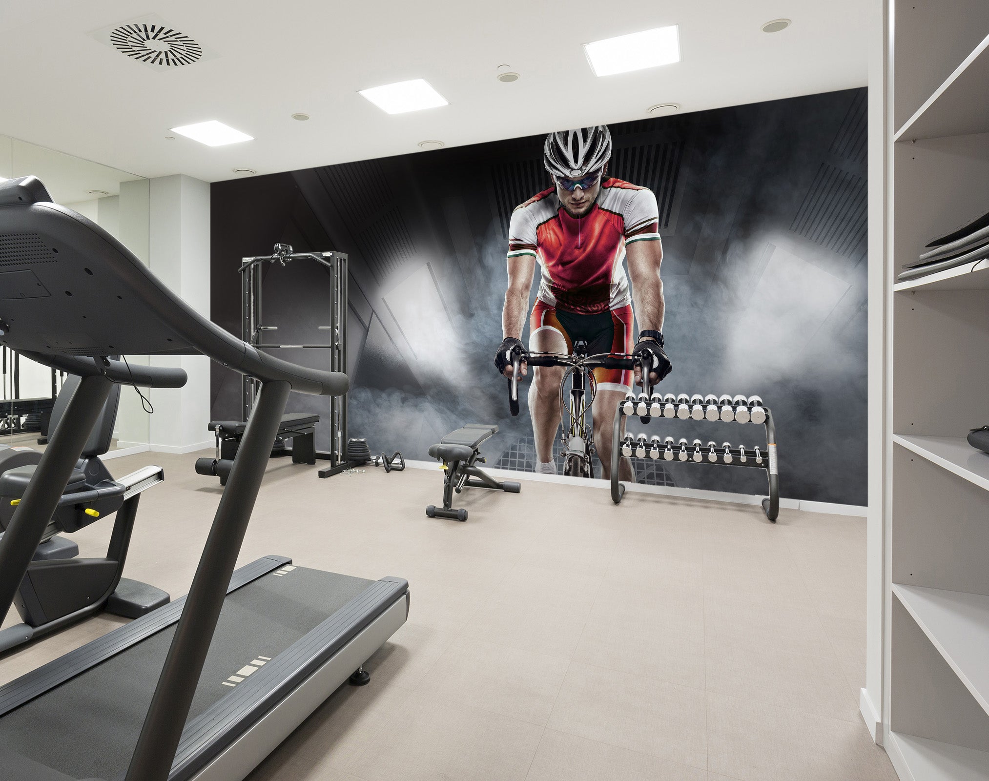 3D Cycling 269 Wall Murals