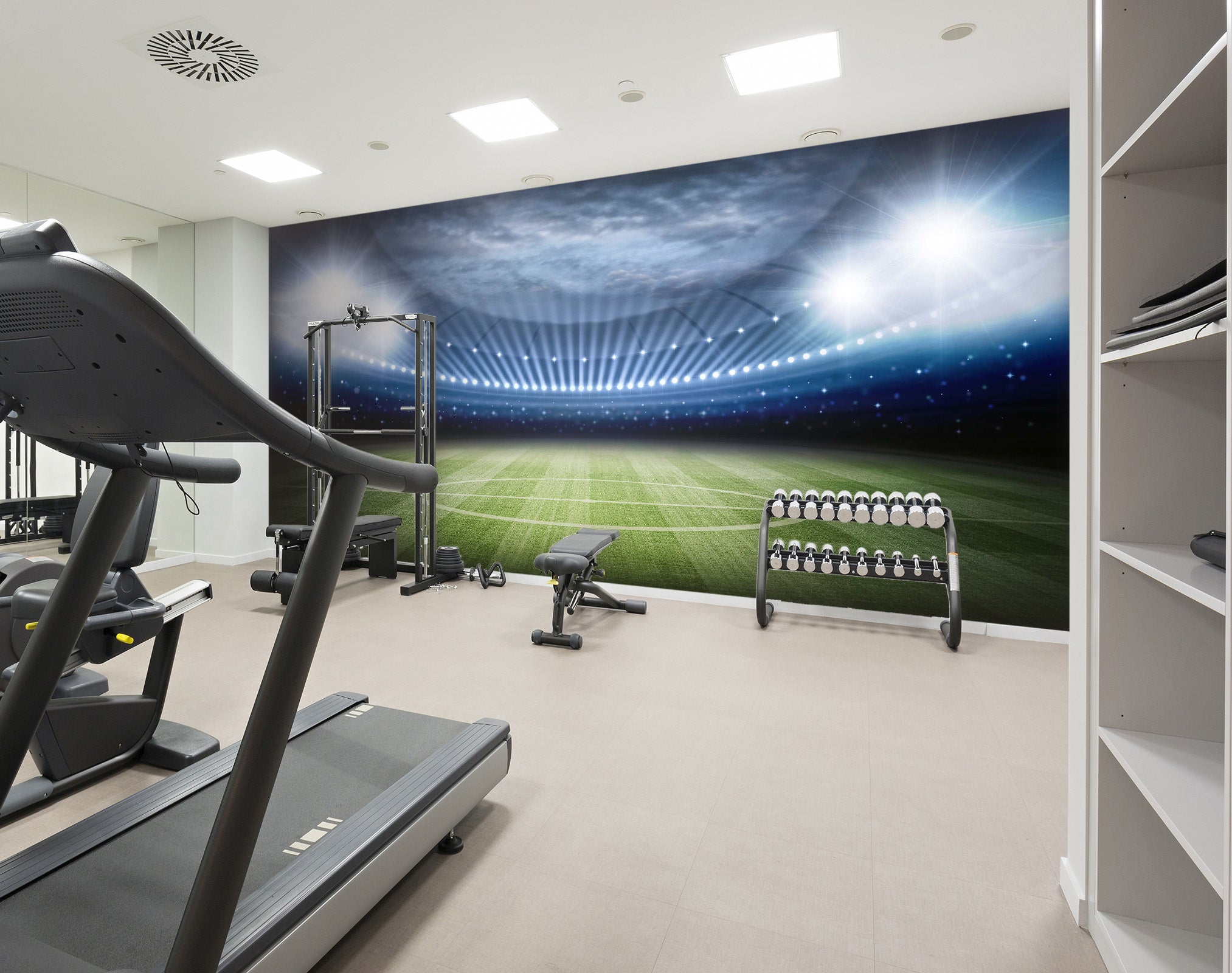 3D Football Field 101 Wall Murals
