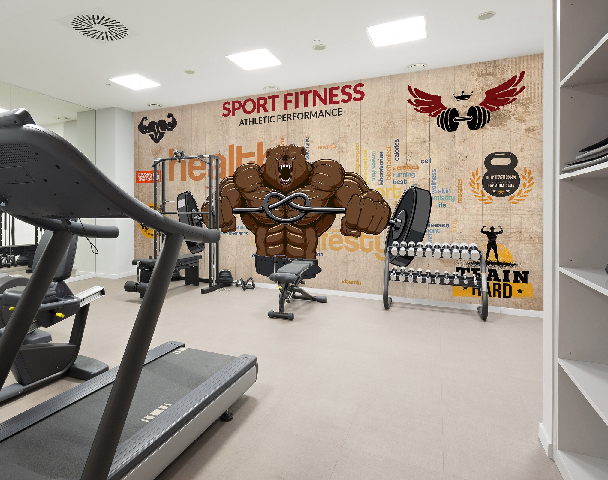 3D Strong Bear 093 Wall Murals