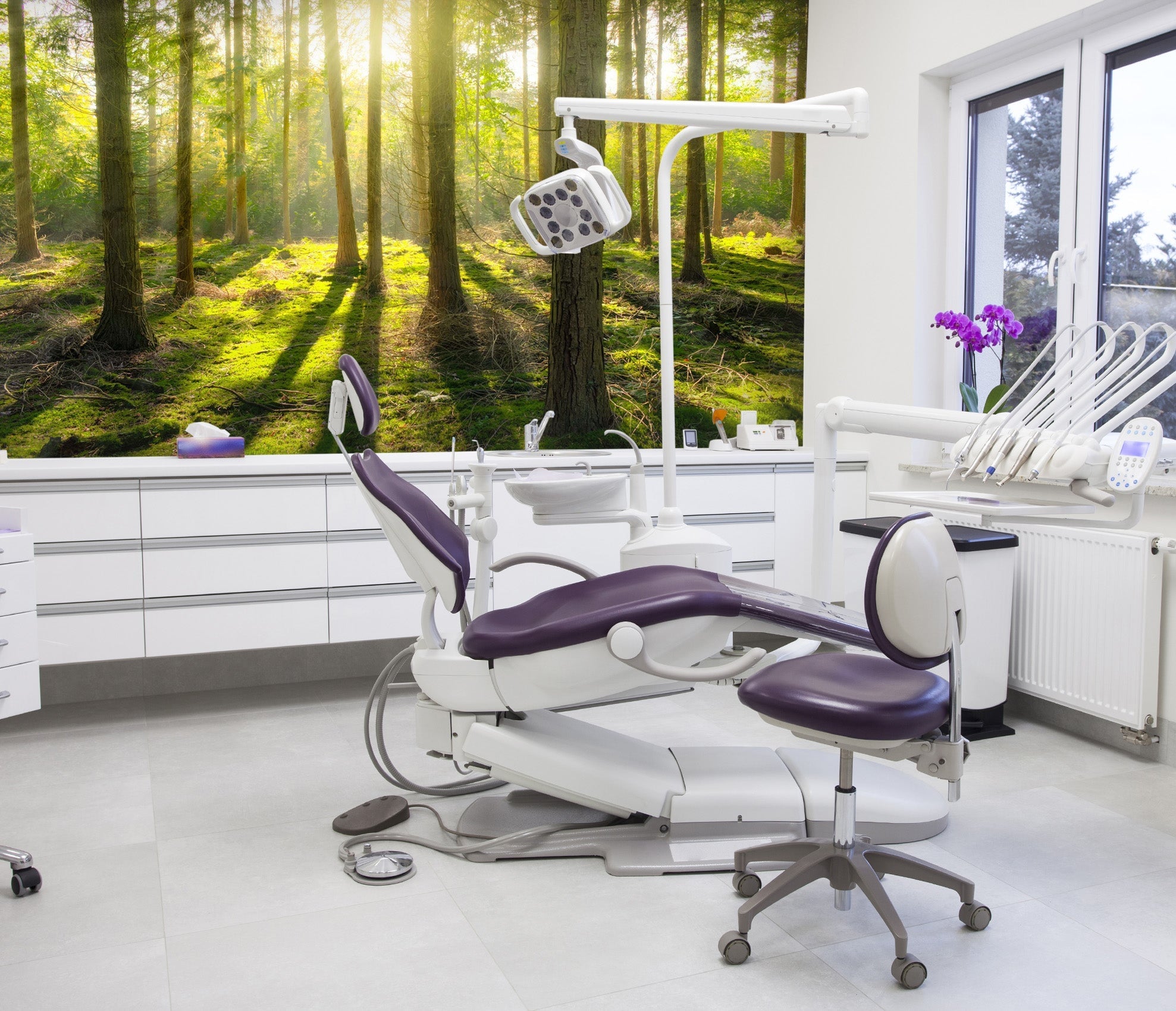 3D Woods Shadow Sunlight 023 Wall Murals Wallpaper AJ Wallpaper 2