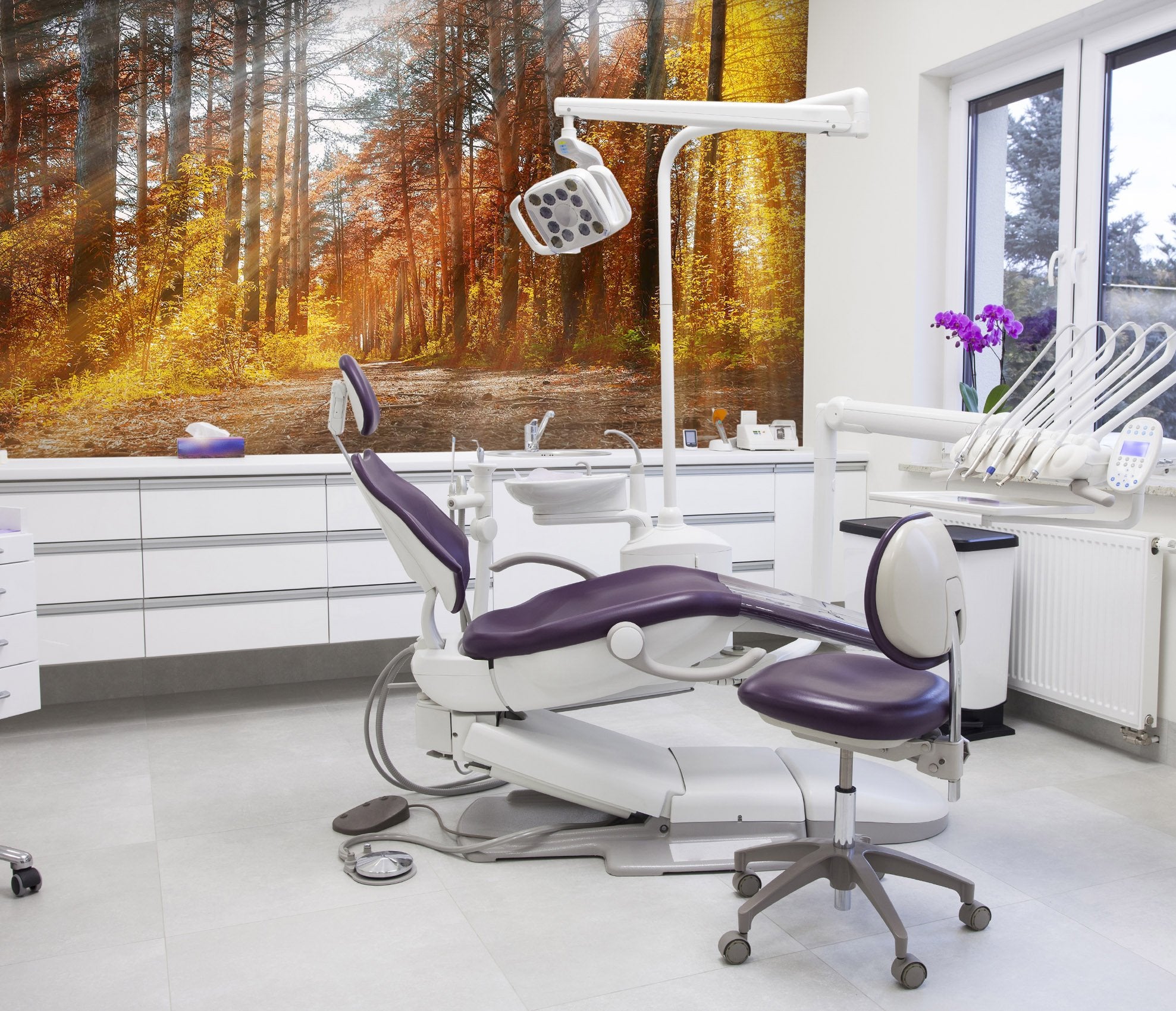 3D Tree in fall 08 Wall Murals Wallpaper AJ Wallpaper