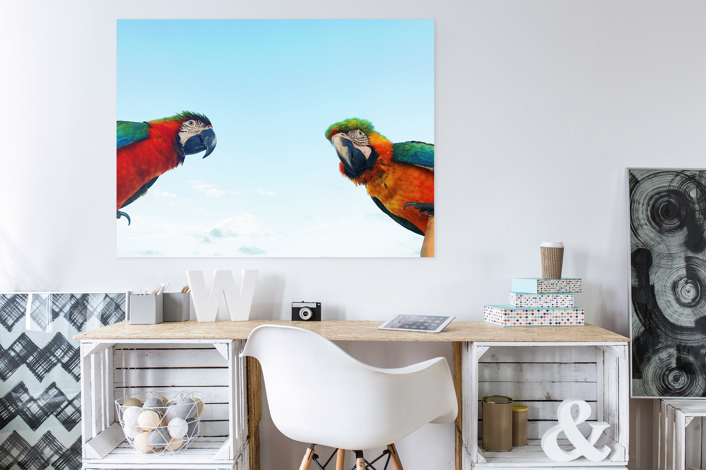 3D Two parrots 01 Animal Wall Stickers Wallpaper AJ Wallpaper 2
