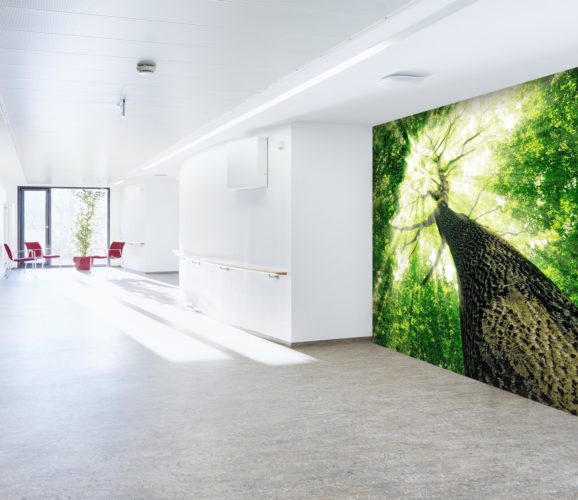 3D Landscape Tree 50 Wall Murals Wallpaper AJ Wallpaper