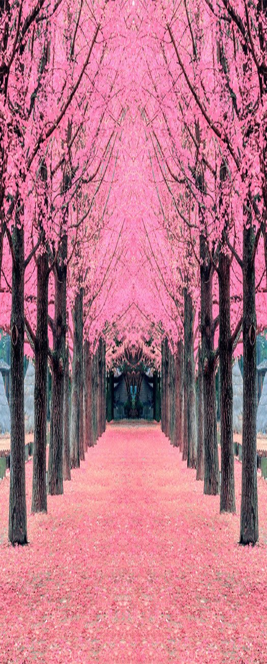 3D flowers road trees door mural Wallpaper AJ Wallpaper