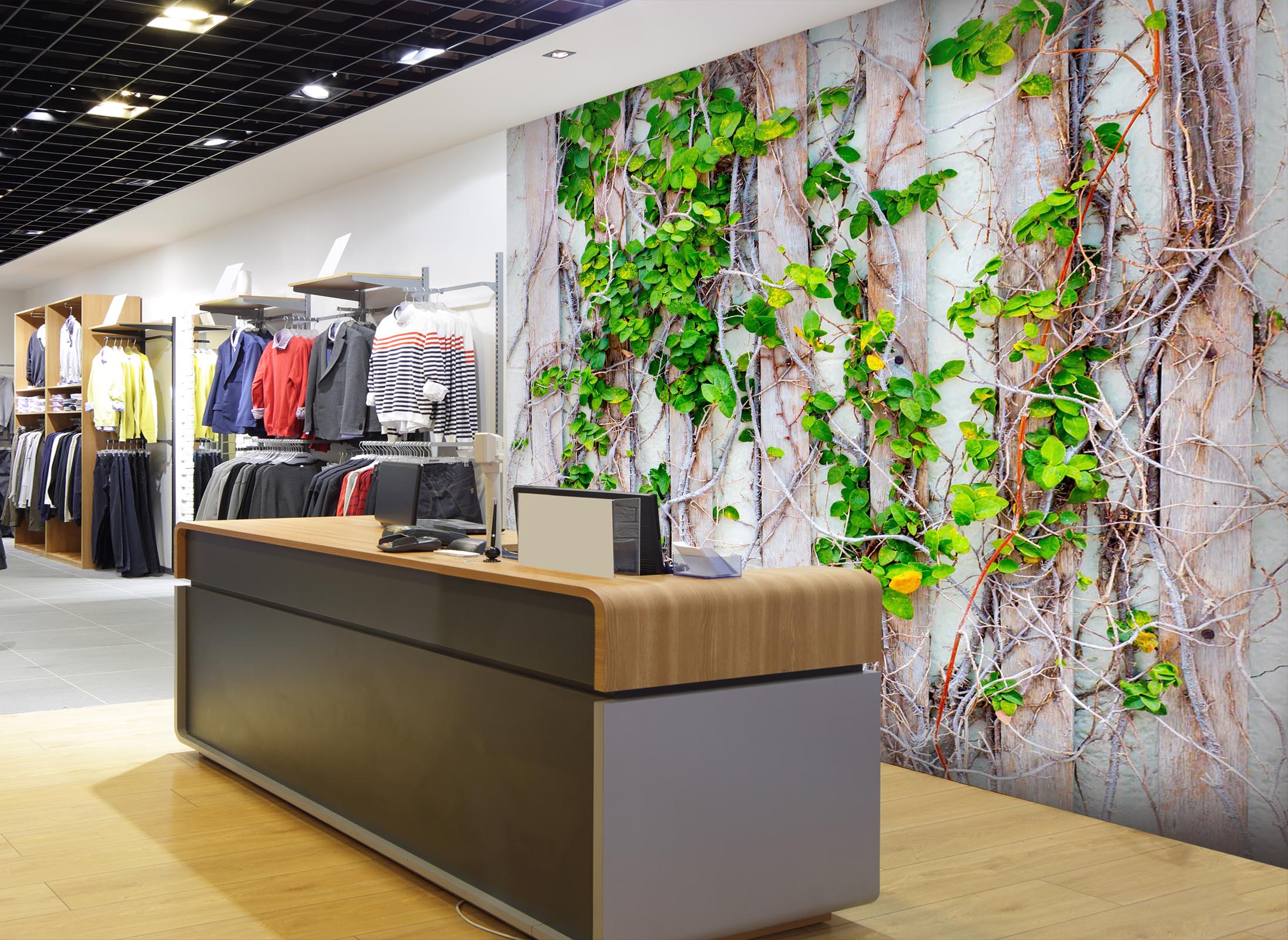 3D Green Vine 109 Wall Murals Wallpaper AJ Wallpaper 2