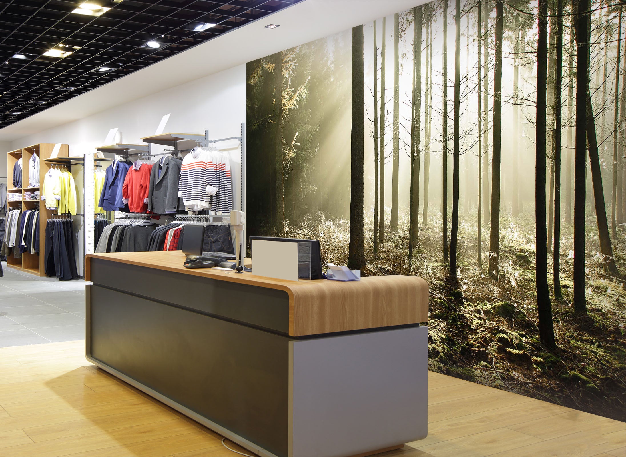 3D Sunshine Forest 128 Wall Murals